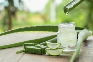 benefits of Aloe Vera